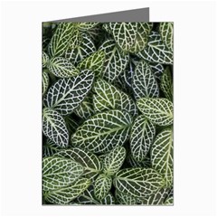 Leaves Foliage Botany Plant Greeting Cards (pkg Of 8)