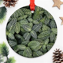 Leaves Foliage Botany Plant Round Ornament (two Sides)