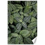 Leaves Foliage Botany Plant Canvas 20  x 30  19.62 x28.9  Canvas - 1