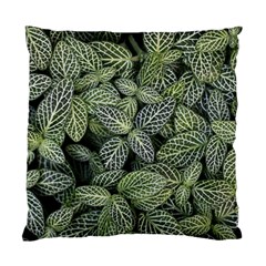 Leaves Foliage Botany Plant Standard Cushion Case (two Sides)