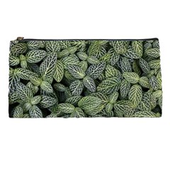 Leaves Foliage Botany Plant Pencil Case