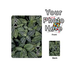 Leaves Foliage Botany Plant Playing Cards 54 Designs (mini)