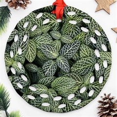 Leaves Foliage Botany Plant Ornament (round Filigree)