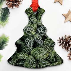 Leaves Foliage Botany Plant Ornament (christmas Tree) 