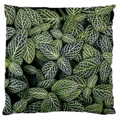 Leaves Foliage Botany Plant Large Cushion Case (one Side) by Maspions