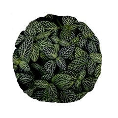 Leaves Foliage Botany Plant Standard 15  Premium Flano Round Cushions