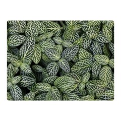 Leaves Foliage Botany Plant Two Sides Premium Plush Fleece Blanket (mini) by Maspions