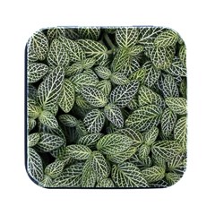 Leaves Foliage Botany Plant Square Metal Box (black) by Maspions