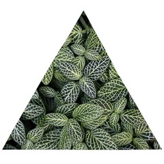 Leaves Foliage Botany Plant Wooden Puzzle Triangle