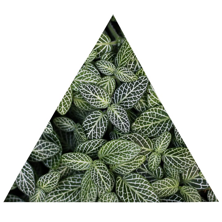 Leaves Foliage Botany Plant Wooden Puzzle Triangle