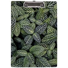 Leaves Foliage Botany Plant A4 Acrylic Clipboard