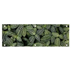 Leaves Foliage Botany Plant Banner And Sign 6  X 2 