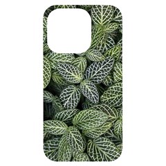 Leaves Foliage Botany Plant Iphone 14 Pro Black Uv Print Case