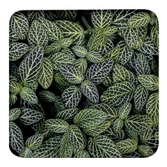 Leaves Foliage Botany Plant Square Glass Fridge Magnet (4 Pack) by Maspions