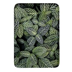 Leaves Foliage Botany Plant Rectangular Glass Fridge Magnet (4 Pack) by Maspions