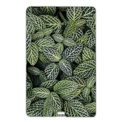 Leaves Foliage Botany Plant Name Card Style Usb Flash Drive by Maspions