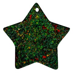 Grass Nature Meadow Ornament (star)