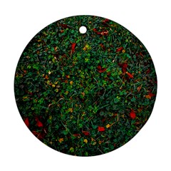 Grass Nature Meadow Round Ornament (two Sides)