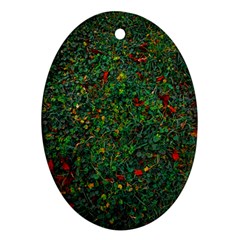 Grass Nature Meadow Oval Ornament (two Sides)