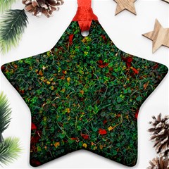 Grass Nature Meadow Star Ornament (two Sides) by Hannah976