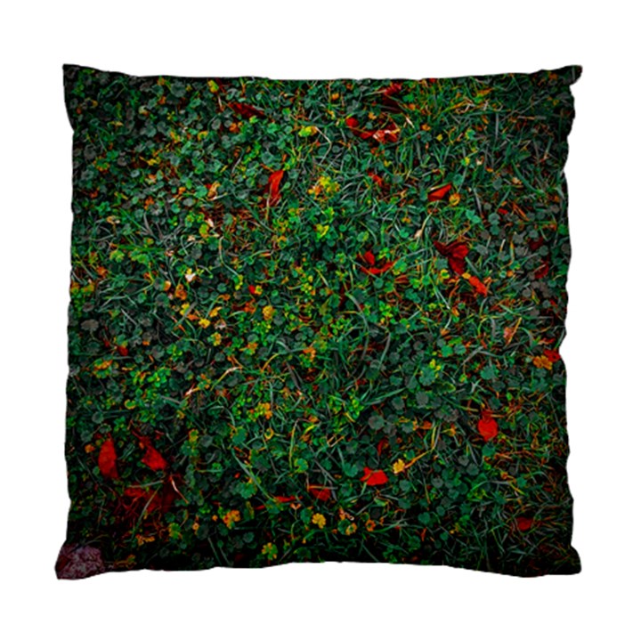 Grass Nature Meadow Standard Cushion Case (Two Sides)