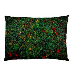 Grass Nature Meadow Pillow Case (two Sides) by Hannah976