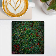 Grass Nature Meadow Uv Print Square Tile Coaster 