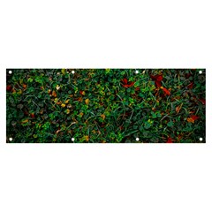 Grass Nature Meadow Banner And Sign 8  X 3 