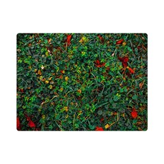 Grass Nature Meadow Premium Plush Fleece Blanket (mini)