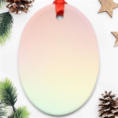 Rainbow Pastel, Purple, Gradient, Light, Led, Pink, Simple Oval Ornament (two Sides) by kyorashop23