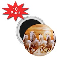 Seven Horses, Sun 1 75  Magnets (10 Pack)  by kyorashop23