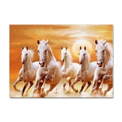 Seven Horses, Sun Sticker A4 (10 Pack) by kyorashop23