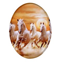 Seven Horses, Sun Oval Glass Fridge Magnet (4 Pack) by kyorashop23