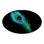 Shree Krishna, Feather, Lord, Rainbows Oval Magnet Front