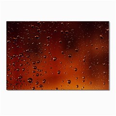 Water Drops, Lui, Amazing Postcard 4 x 6  (pkg Of 10) by kyorashop23