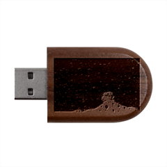 Water Drops, Lui, Amazing Wood Oval Usb Flash Drive