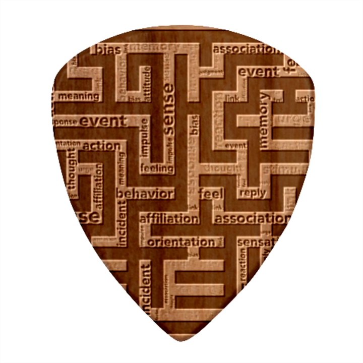 Mindset Stimulus Response Emotion Wood Guitar Pick (Set of 10)