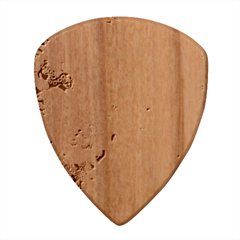 Cells Fluid Bubbles Wood Guitar Pick (set Of 10) by Maspions