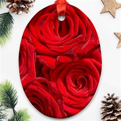 Red Roses , Flowers, Red Roses Ornament (oval)