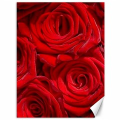 Red Roses , Flowers, Red Roses Canvas 36  X 48  by kyorashop23