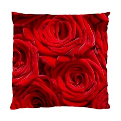 Red Roses , Flowers, Red Roses Standard Cushion Case (two Sides) by kyorashop23