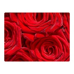 Red Roses , Flowers, Red Roses Two Sides Premium Plush Fleece Blanket (mini) by kyorashop23