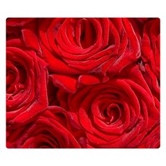 Red Roses , Flowers, Red Roses Two Sides Premium Plush Fleece Blanket (kids Size)