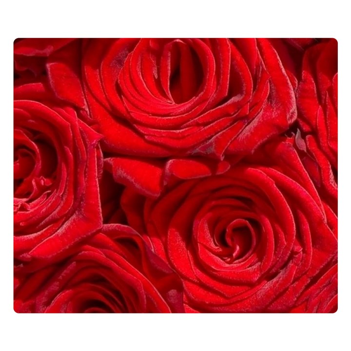 Red Roses , Flowers, Red Roses Two Sides Premium Plush Fleece Blanket (Kids Size)