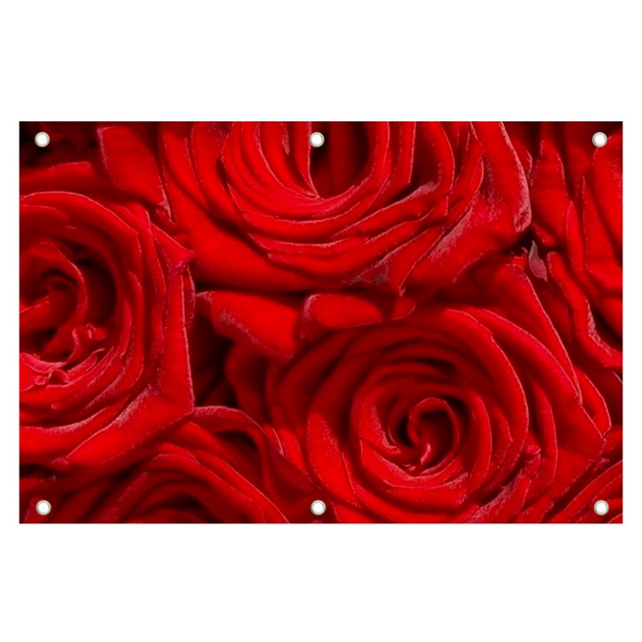 Red Roses , Flowers, Red Roses Banner and Sign 6  x 4 