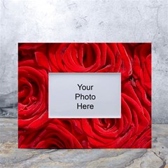 Red Roses , Flowers, Red Roses White Tabletop Photo Frame 4 x6 