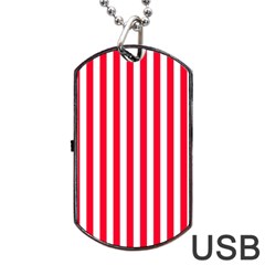 Red Stripes, Texture, Sticker, Dog Tag USB Flash (Two Sides)