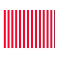 Red Stripes, Texture, Sticker, Two Sides Premium Plush Fleece Blanket (Mini)