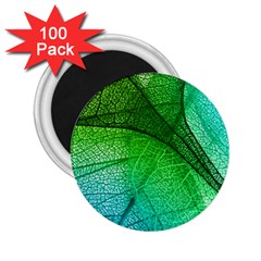 3d Leaves Texture Sheet Blue Green 2 25  Magnets (100 Pack) 