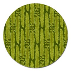 Fern Texture Nature Leaves Magnet 5  (round) by Posterlux